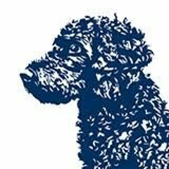 Junges Theater Detmold