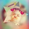 4k shawn