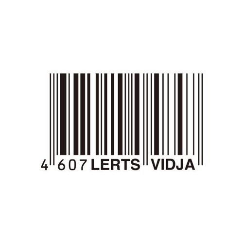 Lerts & Vidja’s avatar