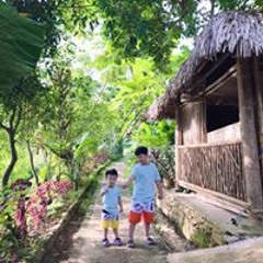 Hương Nguyễn