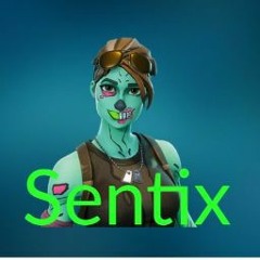 Shadow Sentix