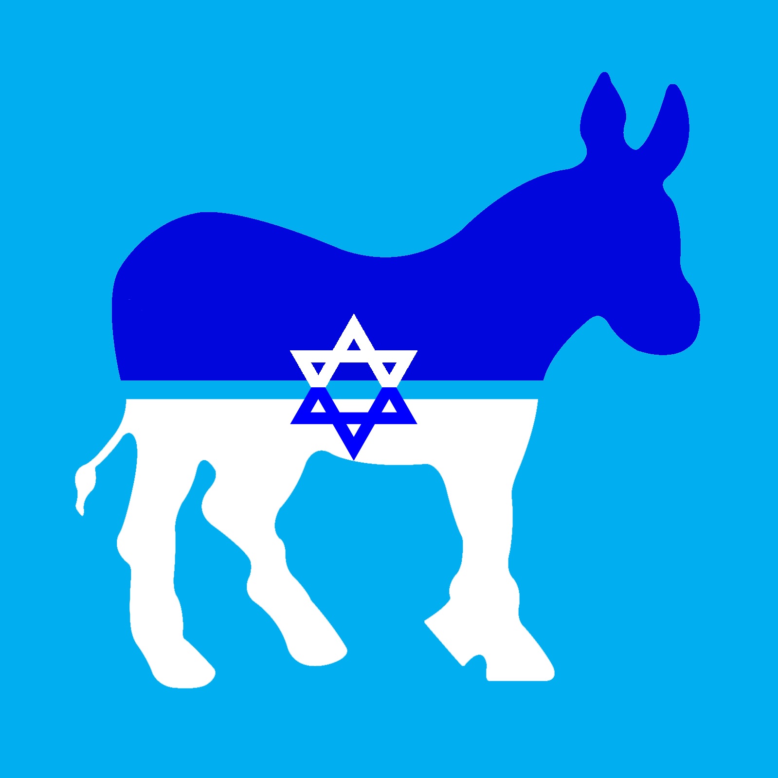 הדמוקרטים