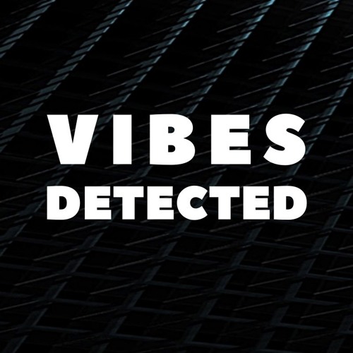 VIBES DETECTED’s avatar