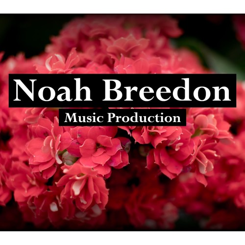Noah Breedon’s avatar