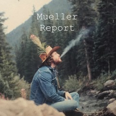 Mueller Report