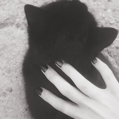 アナザードリーマー