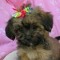 Katie Daggett Wickersley