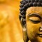 Tshering Wangchuk
