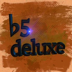 b5 deluxe