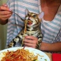 PapaJPEG