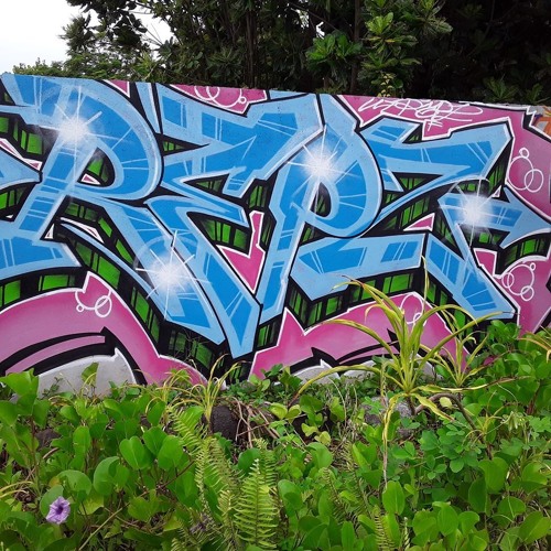 K.A.L.A.S.H ¨PMS¨ Z019 X SYCKM xDYCKM C.R.M.I.N.E.L ((4TEIVA°°39°°)))