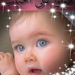 تقى محمد