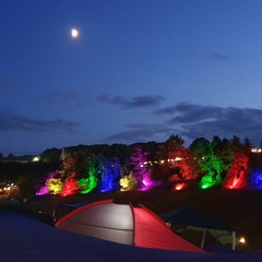 Faeroewings