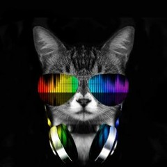 DJ VANS