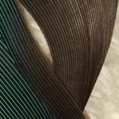 Pluma Negra