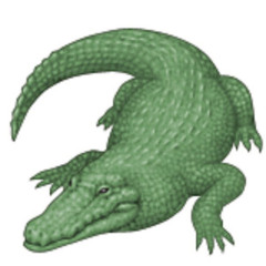 FoFoFo