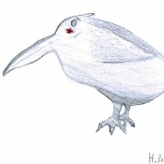 Kotkas