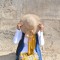Nermin Mohammed Galal
