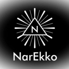NarEkko The Shamanarkist