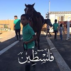 User 243461767