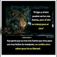 Alex Velasquez