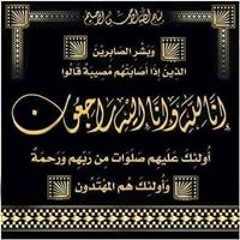 محمد ربيع