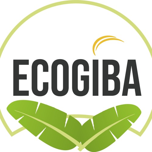 Ecogiba’s avatar