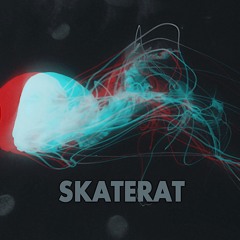 SKATERAT