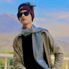 Atif Ansari
