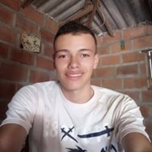 Luis Chavarriaga’s avatar