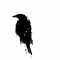 RavenRap