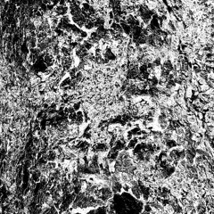 Olc-Glas