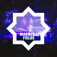 Magnetic Fields Festival