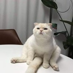 zzzx