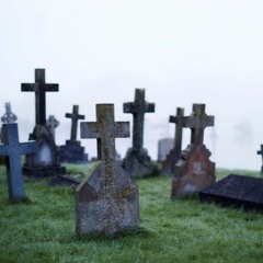 *R A R E* yung punk x half-light collection