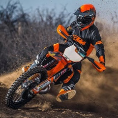 Adler Nelsen (Student)