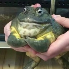 PSYQUI feat. Such - Hysteric Night Girl