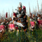 ImperialLegate