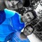 shaan