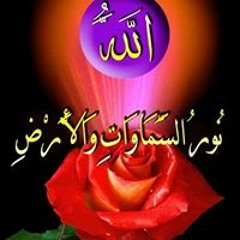 Gehan Mahfouz