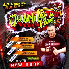 JUANITO LIVE LA CHAMBAMANIA NYC