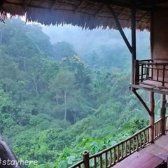 สหัทยานาวี เสวีวัลลภ