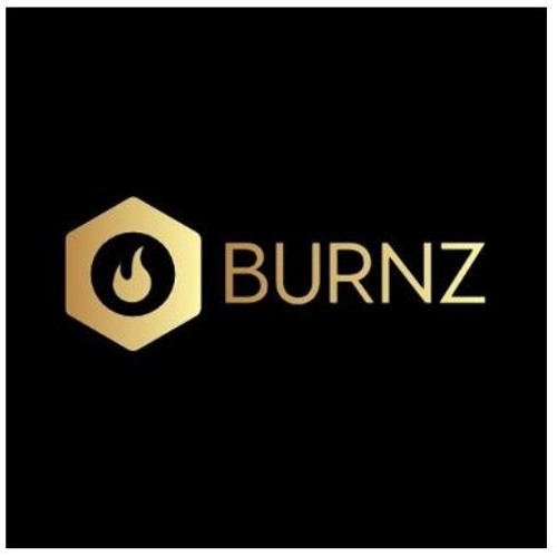BURNZ 🎙️’s avatar