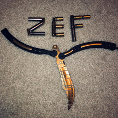 zeF_KINgz🦈