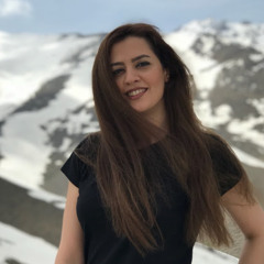 negar falahpour