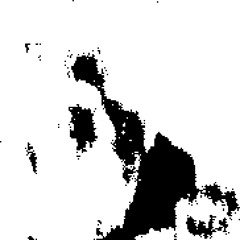 jordan fan for life 49ers