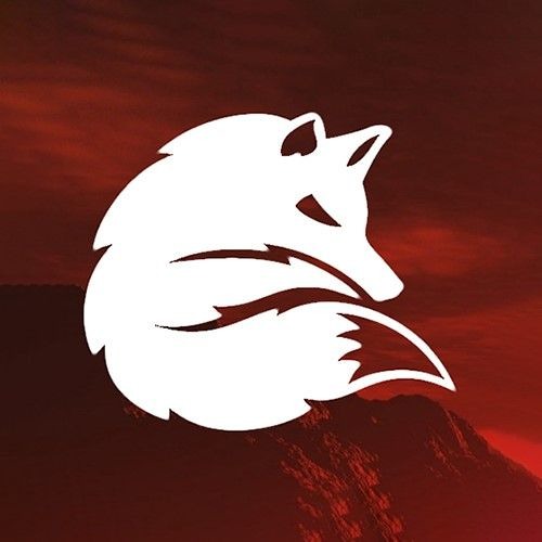 Fox Music - Electrónica 2020 — artist photo