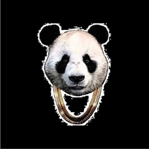 Panda Bass’s avatar