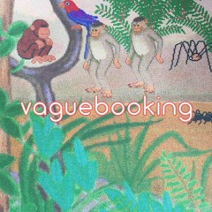 Vaguebooking