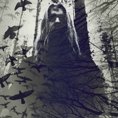 Midnight Mysteries